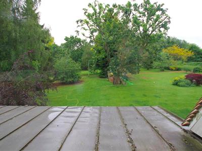 Picture 15